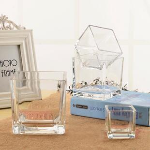 Micro Landscape Container Ornaments Transparent Square Fleshy Flower Pot Glass Hydroponic Ware Square Vase Glass Bottle