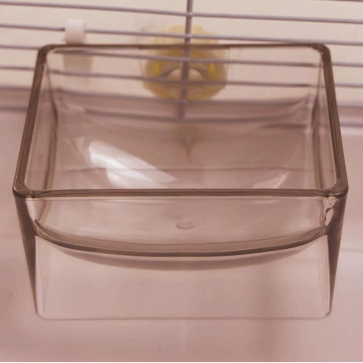Conejo nuevo tipo cuenca de cristal transparente anti-moldura, resistencia a la mordida y anti-voltar cuenca multifuncional