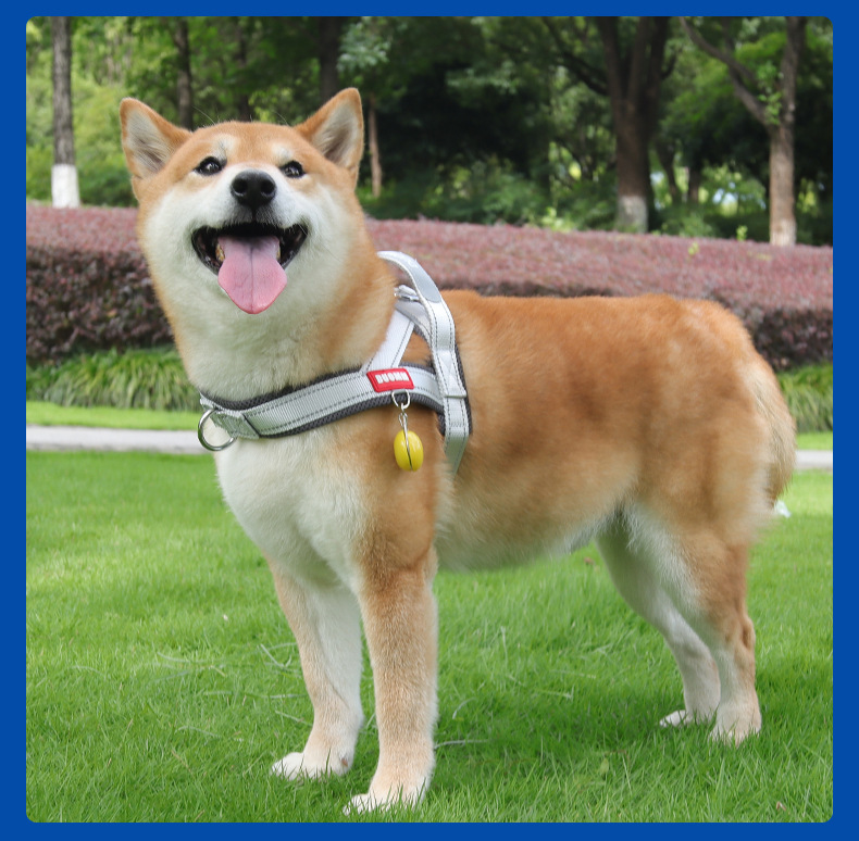 Reflective No-pull Dog Saddle Harness For Puppies And Small Dogs_voghion.com