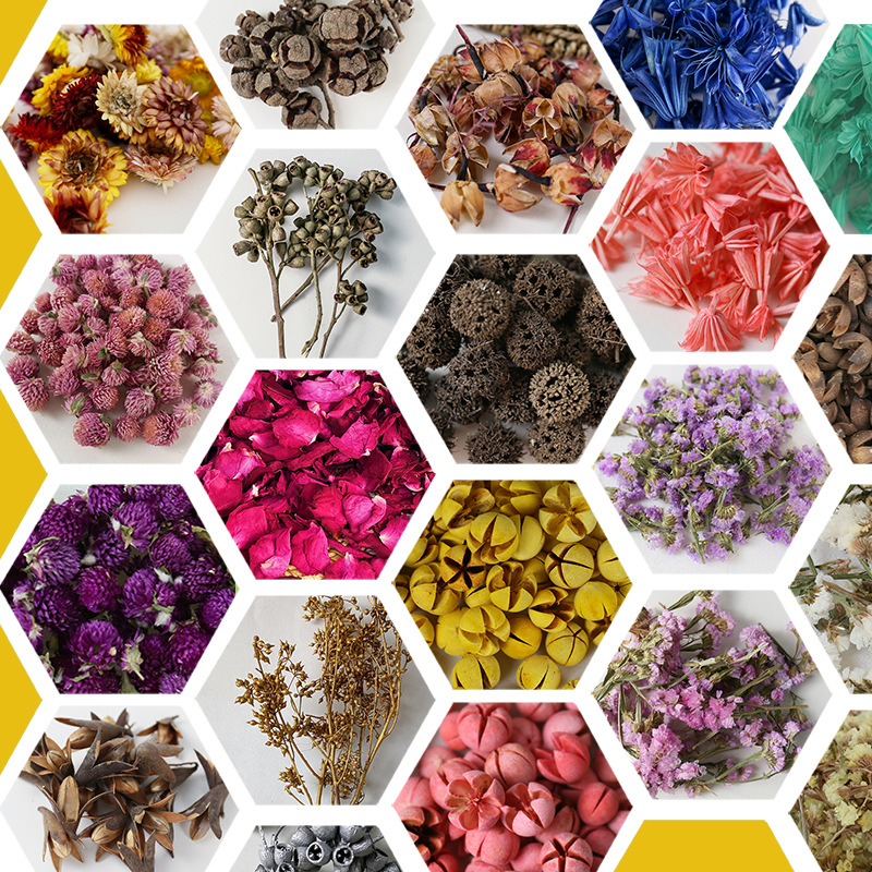 Natural dried flower and fruit product team building bottled holiday event DIY resin aroma diffuser photo frame decoration material