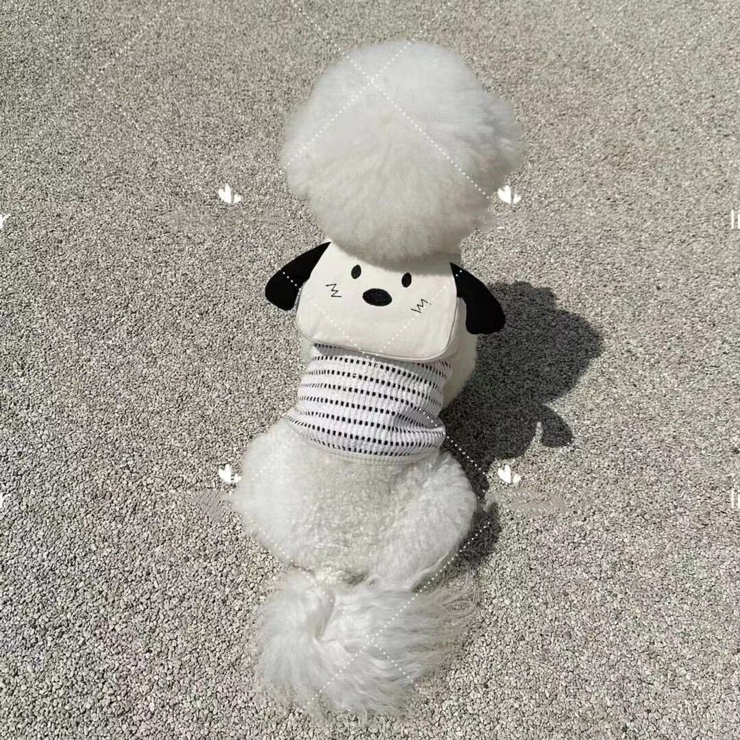 Sac à dos d'extérieur avec laisse pour petit chien, bichon, poméranien, chiot_voghion.com