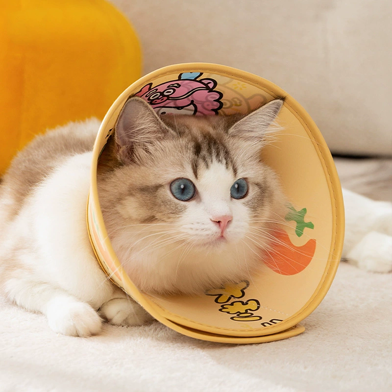 Желтый благоприятный язык Elizabeth Circle Cats Dog анти-лизать и царапать комфорт Домашние животные товары для кошек оптом