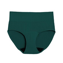 J 20635 Multi Color Absorbent Period Panties �������Ճ�ѝ