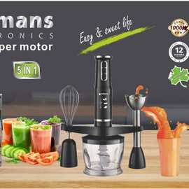 出口Hoffmans 搅拌机 8029 5 in 1 Hand Blender 0.132c