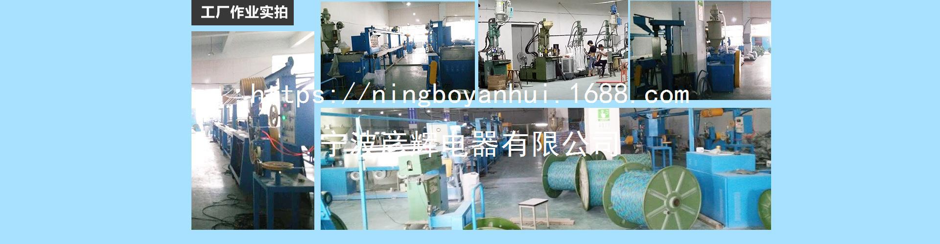 4532530917_1708463024