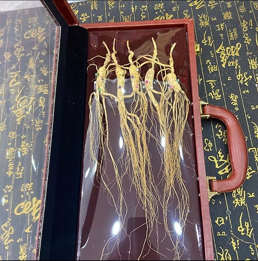 Changbai Mountain Forest Grown Ginseng Gift Box Dried Whole Roots 8 Pieces 40g overview