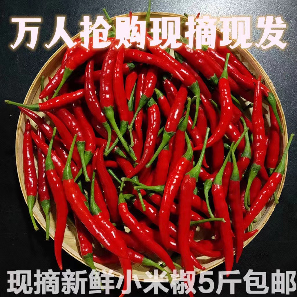 新鲜小米辣椒鲜椒朝天椒指天椒泡椒红椒产地直发拍5发货带箱5斤装-阿里巴巴