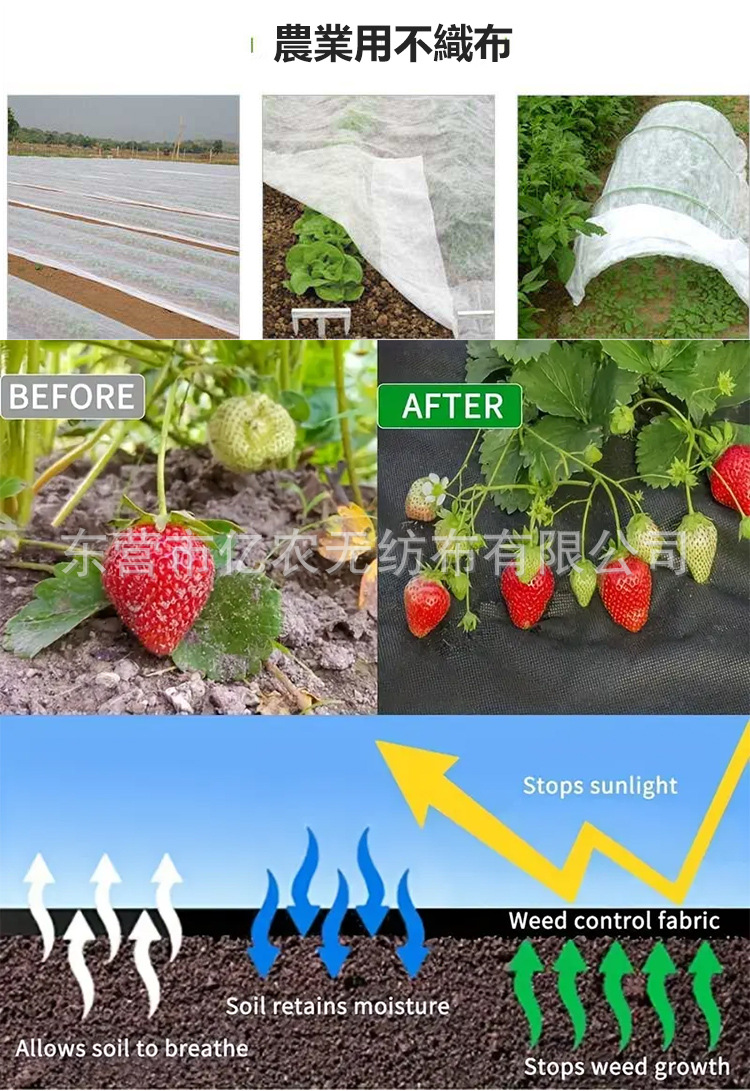 O1CN01Vbtpsh1bWgaCphHGu_!!2924243473-0-cib.jpg?__r__=1744185953026