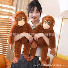 ���濨ͨ���ɹ���ë�q�����ż�ɐۺ��ӱ���Ů�����б����羳