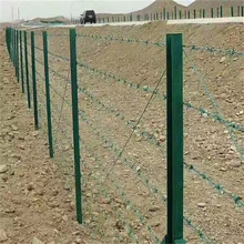 ����\�p�ɴ��K �F�̾����b�������U����  �ͺ��������K��