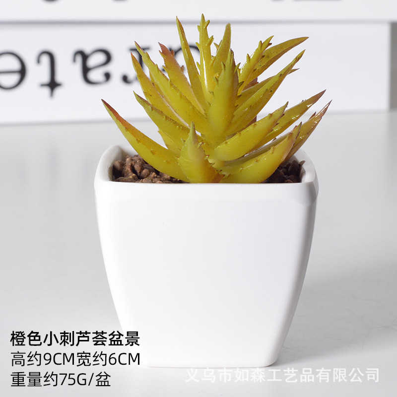Simulación de plástico carnoso bonsai flor falsa combinación oficina interior escritorio plantas verdes pequeños adornos plantas artificiales al por mayor image 12
