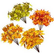 ������ɫ���~ �廨������^��ꐼҾ��b��S�չ��ж���������~