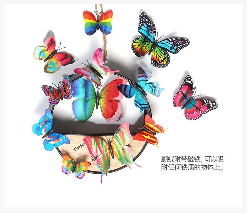 12只彩虹套装蝴蝶详情_09