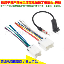 �m����������ɣ�{�B�L��ꖹ�CD/DVD��푸��b�o�p�D�Ӿ�ĸ���쾀