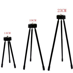 16cm19cm �F�|�������_��
