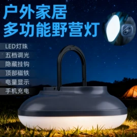 手电筒;手电筒;野营/露营灯
