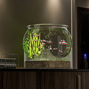 Fish Tank Transparent Pet Material, Simple and Preferred Plastic, Wear-Resistant and Fall-Resistant, Multi-Style Small Desktop Hydroponic Goldfish Tank