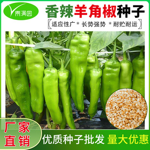 ���l��ǽ��N�Ӵ����������߲��ݽz�����˽���Ƥ�����N�����T��