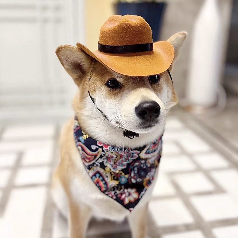 Pet Western Cowboy sombrero cool cool pet gato perro tocado vaquero muy ocupado tomando fotos lindos sombreros de vaquero
