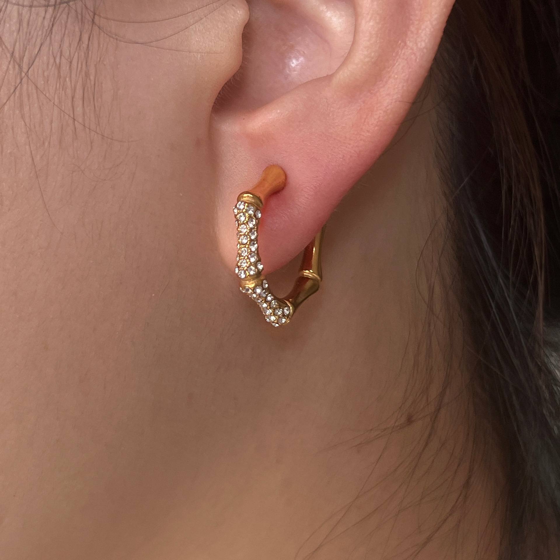 Women'S Gender Plating, Inlay Design 1 Pair Retro Hexagon Titanium Steel Plating Inlay Zircon 18k Gold Plated Earrings
