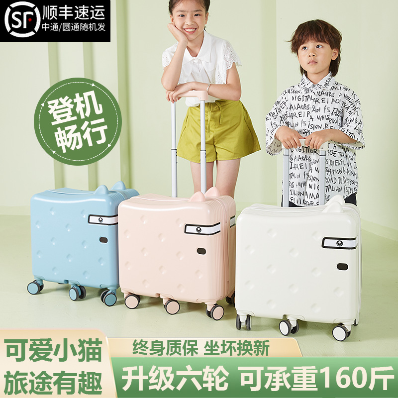 Suitcase with seat
