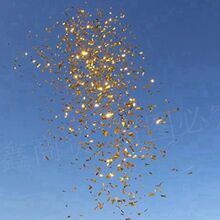 ��Y����Ͳ��c�Y��Ͳ�_�I�Y�������ڶY��Ͳ�_���Y���ֳֽY��Y��