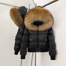 2025新款貉子毛大毛领冬季女高端休闲显瘦立领百搭短款羽绒服外套