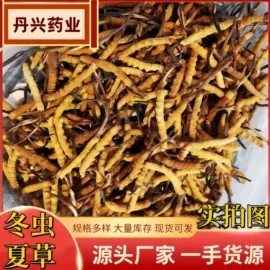 其他药食同源;花果茶;黄精