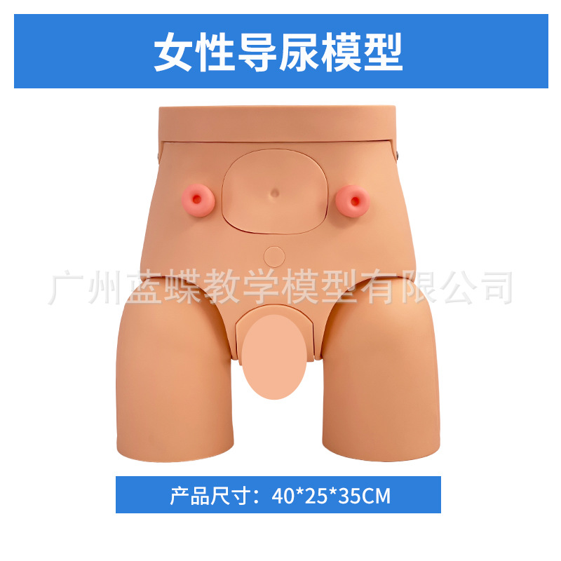 ����������ֳ����ģ�ͼ��׵���ģ����Ů�Ե���ѵ����ʾ��ϰģ��