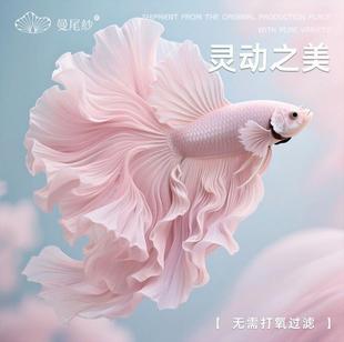 ��β��̩�����~�Ꭷ�^�p�~�׼��BС�͌���sss�������ͻˮ�~��