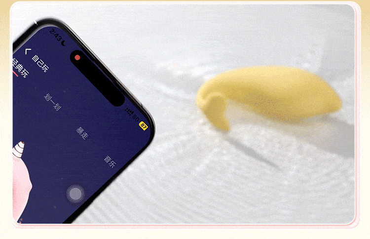 Mystery Pipi Dolphin Mini Program Wireless Female Masturbator G-Spot Vibrator — detail image 22