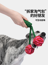 未卡樱桃仙人掌犬用绳结玩具中小型狗狗训练自嗨磨牙耐咬宠物玩具