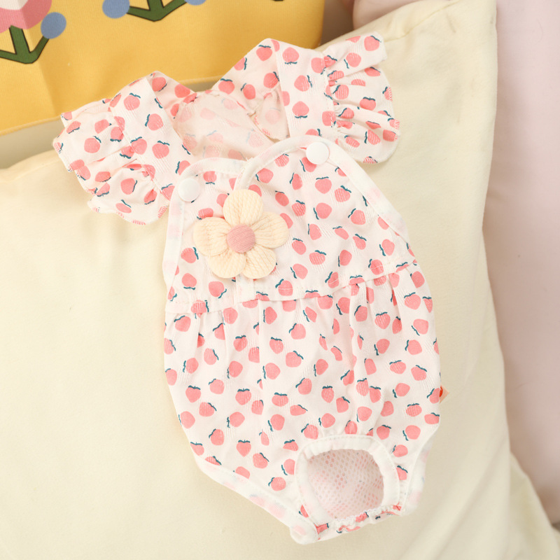 Perro pantalones fisiológicos mascota perro hembra oso pantalones de seguridad shengbo peluche hembra perro pequeño menstrual artefacto tía Pantalones