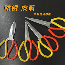 ^ P~^ Ƥ Iü 늾Ƥ Sl