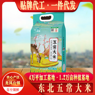 �|���峣���׵��������5kg��հ��b2026�����ז|���峣���׏S��