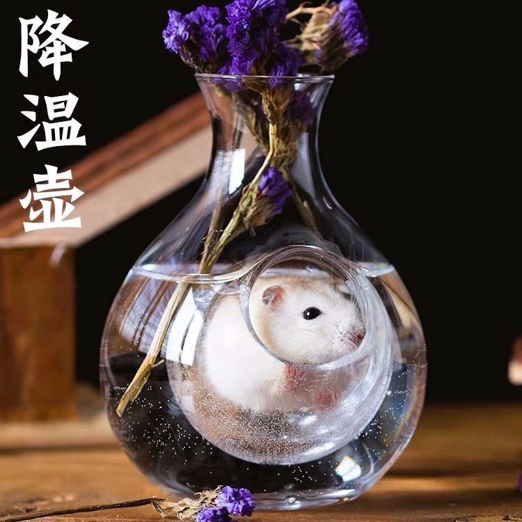 Shunwei Trading/Hamsters cooling summer transparent thumb Pit originality decorate Cool