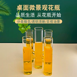 玻璃杯;茶叶罐;微景观瓶