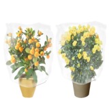 Трансграничная утолщенная сельскохозяйственная сетка, защищающая от насекомых, для посадки цветов, забора для разведения теплиц, саженцев, овощных и фруктовых деревьев.