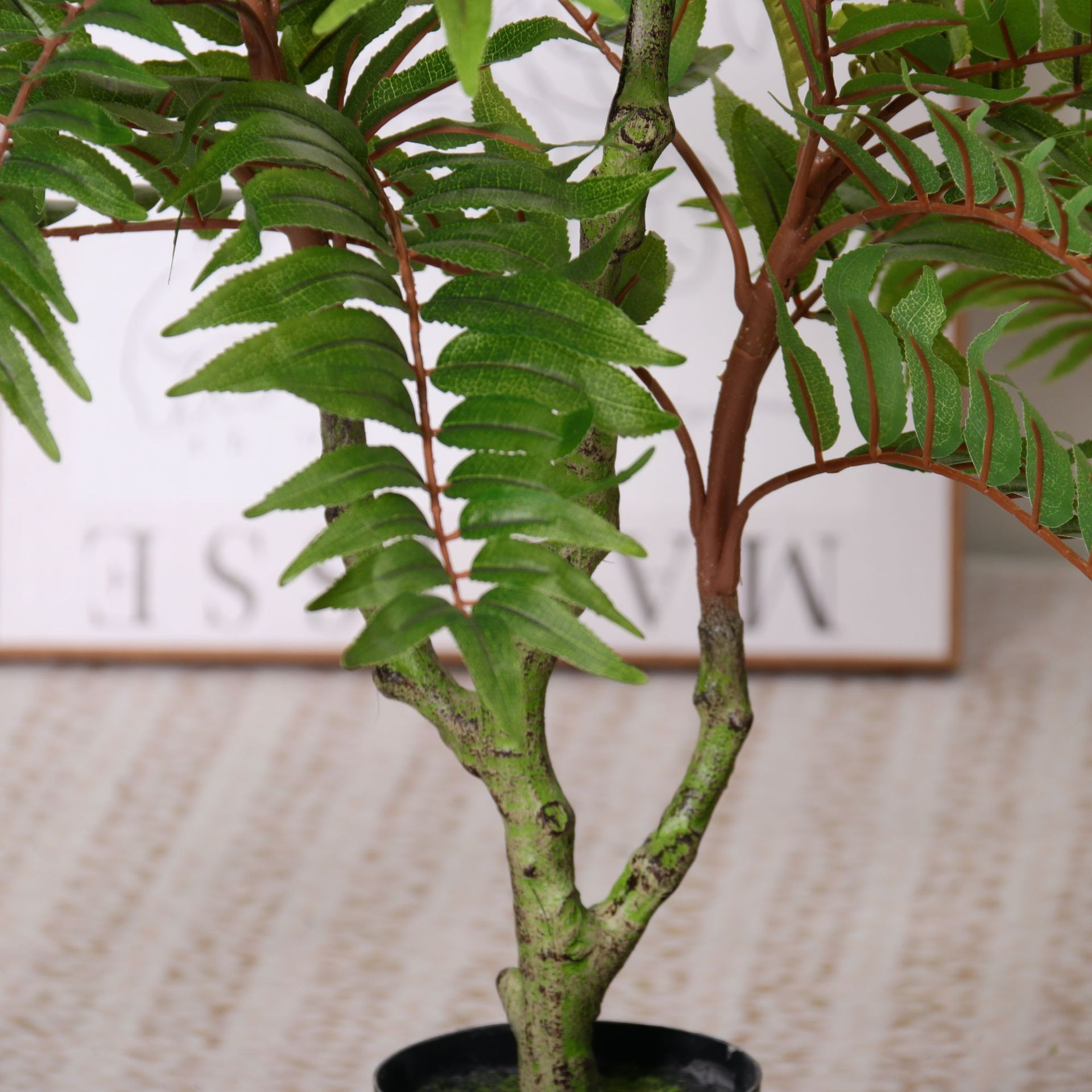 Simulación de plantas verdes, árboles de toon, árboles falsos, plantas en macetas, salas de estar, plantas de simulación, ventanas, decoración de piso