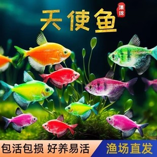 ����ʹС���^�p�~���ǹ��߲���ʹ�~���ֺ��B�׻�Ⱥ��С�͟Ꭷ�~