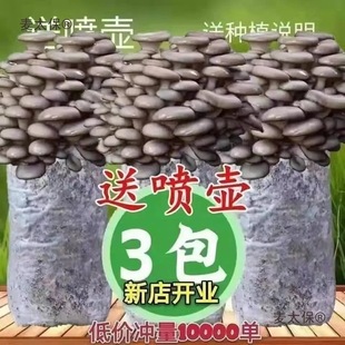 ̫�������޽Ӿ��N�������������҃�ʳ�þ������������Nֲ�ҷNĢ��