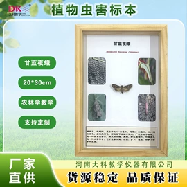 生物教学器材;教学仪器;实验室仪器
