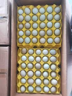 �G�����u����480ö/�䣬����39-40��Փ��հl