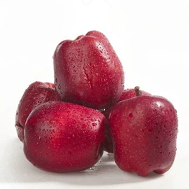 块茎类;其他水果;苹果