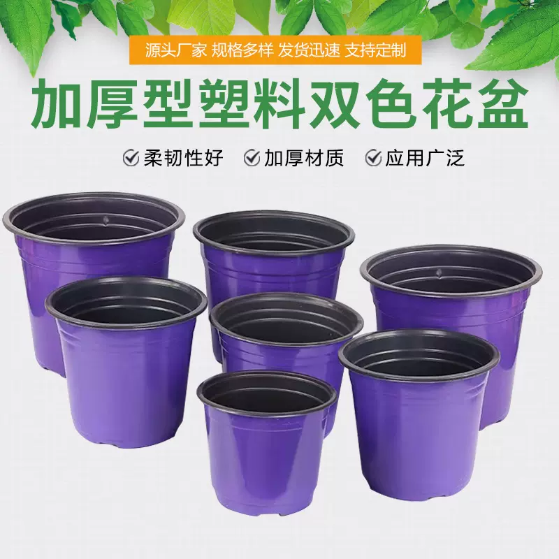 彩色加厚双色盆绿植多肉扦插育苗花盆防老化塑料营养钵阳台种菜盆