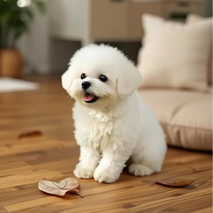 ��ȮС�w�׹����w���ﹷ�� ���N������ȮС�w�豭Ȯ�nϵ���ܰ�ɫ