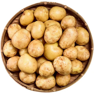 ������ʩС�������]�������r���������S��ʿ�������R���һ�����l