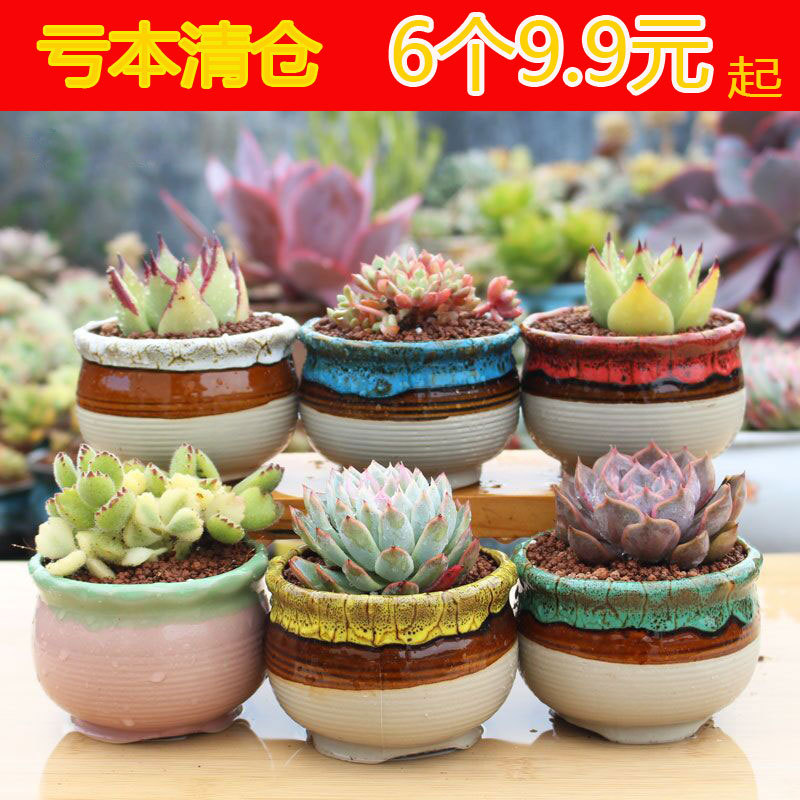 Succulent flower pot combination suit large old pile pot stoneware breathable maifan stone pot ceramic flower pot succulent pot wholesale