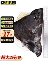 ���~�^���r����l�~�^�����fƬ�~�^�ش��Ŀ�~���~�^�������ú��r