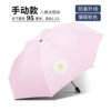 [雏菊粉色]